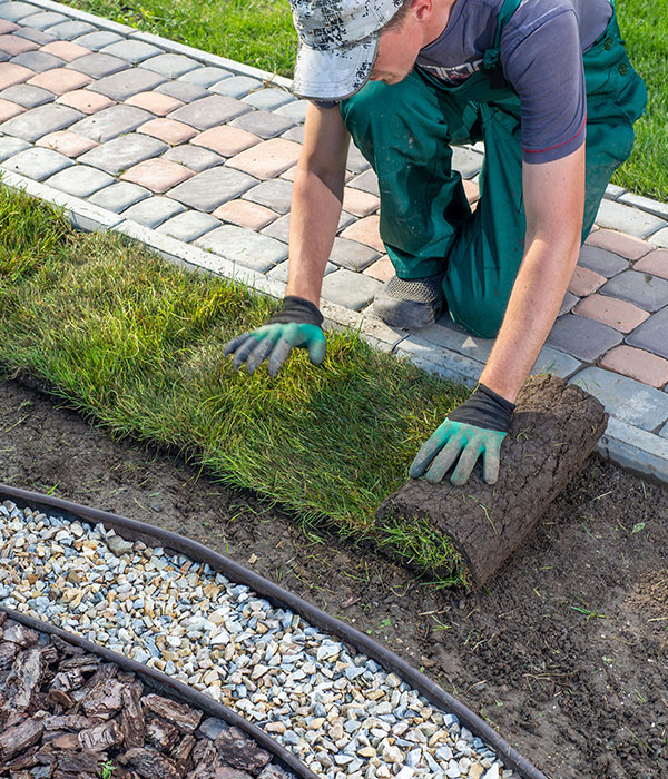 A Landscaper laying sod